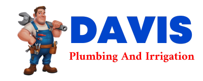 Trusted plumber in STINSON LAKE